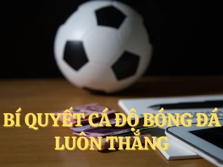 Tìm Hiểu Cá Cược Bóng Đá W88: Hành Trang Cho Người Mới