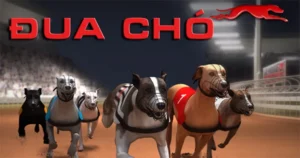 Hướng Dẫn Cách Chơi Game Nhanh Đua Chó Tại W88 Một Cách Hiệu Quả