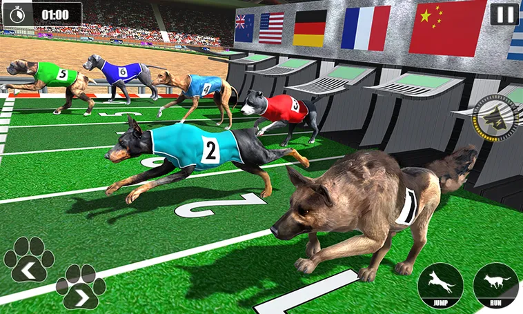 Hướng Dẫn Cách Chơi Game Nhanh Đua Chó Tại W88 Một Cách Hiệu Quả 2 Hướng Dẫn Cách Chơi Game Nhanh Đua Chó Tại W88 Một Cách Hiệu Quả